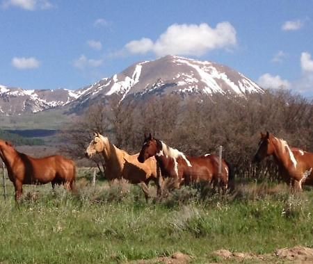 Mount Peale Country Inn La Sal Exteriör bild