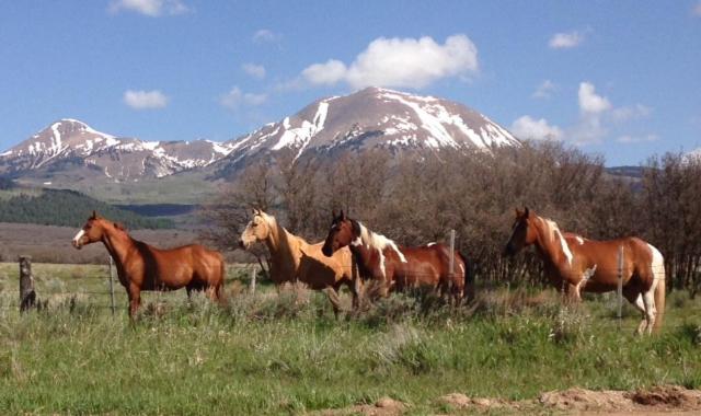 Mount Peale Country Inn La Sal Exteriör bild